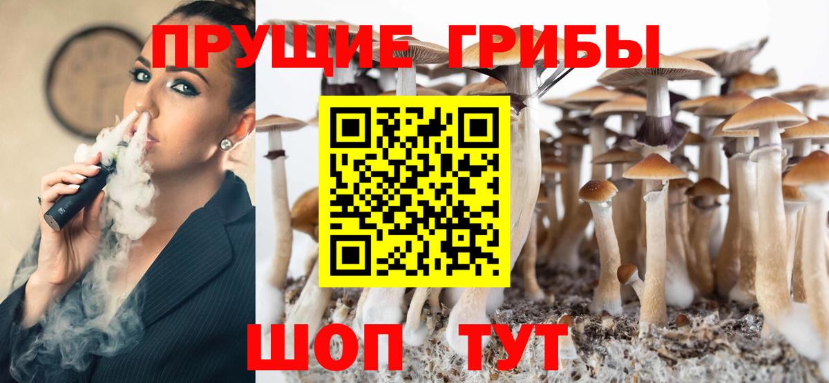 Галлюциногенные грибы MAGIC MUSHROOMS  Вход с VPN  Саранск 